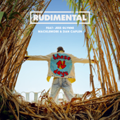 These Days (feat. Jess Glynne, Macklemore &amp; Dan Caplen) - Rudimental Cover Art