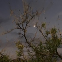 54 - Single - David Entendu