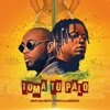 Toma Tu Palo - Single