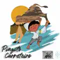 Piazito Carreteiro