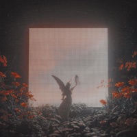 Problem - Single - S L I T