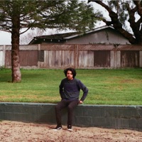 Hippies Is Punks - Single - NandoInTheBando