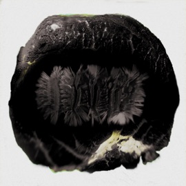 FINTORAPPAR (feat. Pedar & Madze) Millie & Siaga