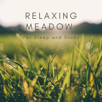 Relaxing Meadow for Sleep and Study