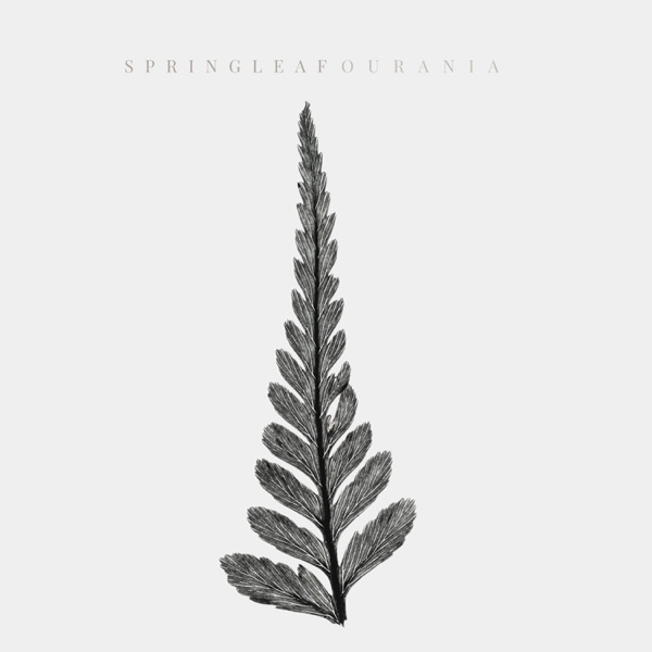 Springleaf