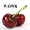 Mr. Berryhill