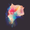 Big Wild