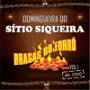 Brasas do Forró - Seu Amor Ainda É Tudo (Ao Vivo)