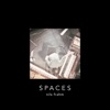 Spaces (Special Edition), 2013