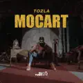 MOCART