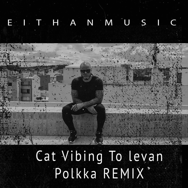 Cat Vibing To Ievan Polkka Remix Eithanmusic Song Lyrics Music Cat Vibing To Ievan Polkka Remix Eithanmusic Song Lyrics Music