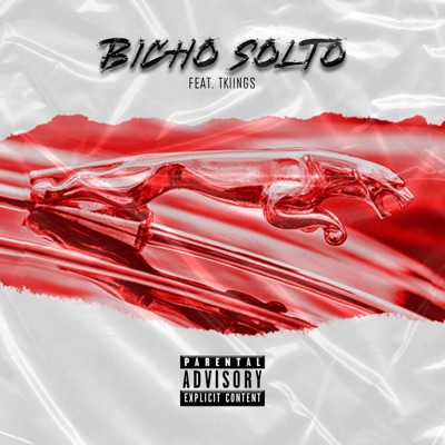 Bicho Solto (feat. TKiings) - Single