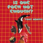 Is One Poem Not Enough? (Unabridged) - Tony Adams