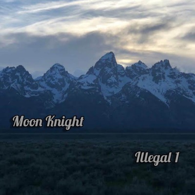 Illegal 1 (feat. Zeg, Filo 45 & Anka 36) - Single