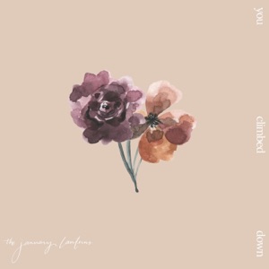 You Climbed Down - Single