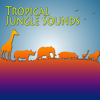 Lion Sounds - The Sounds Of Tropical Jungle