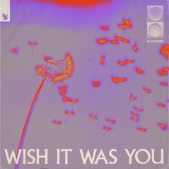 Wish It Was You (feat.  Cate Downey) - Single