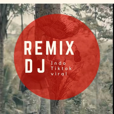 Kok Viral - DJ Luffy Thai