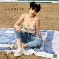 Say Goodbye (feat. El Nido) - Single - Car Cases