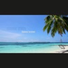 Thomas Forstner - Summer Dream (Radio Edit)