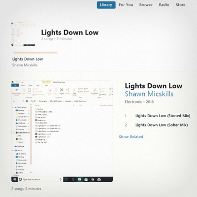 Lights Down Low - Single