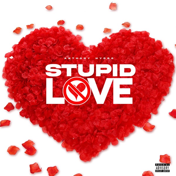 Stupid Love