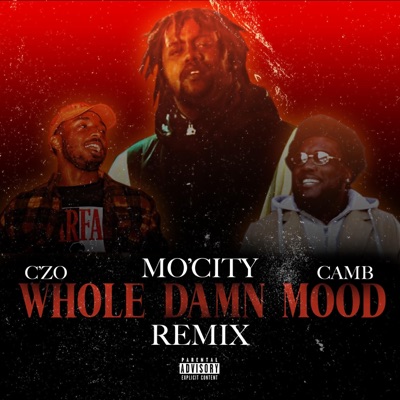 Whole Damn Mood (feat. C'zo & Camb) [Remix] [Remix] - Single