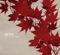 Somewhere Only We Know - EP