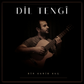 Karşı Dağın Zirvesi song art