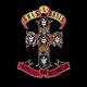 APPETITE FOR DESTRUCTION cover art