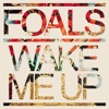 Foals