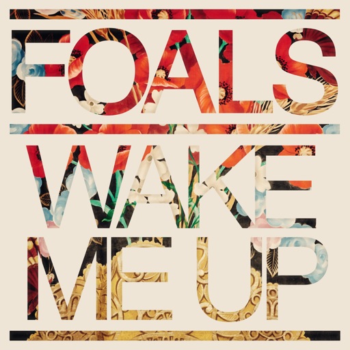 Art for Wake Me Up by Foals