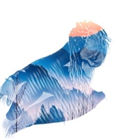 ArQuita - Single - Sarah Soulstress