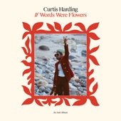 Curtis Harding - Forever More