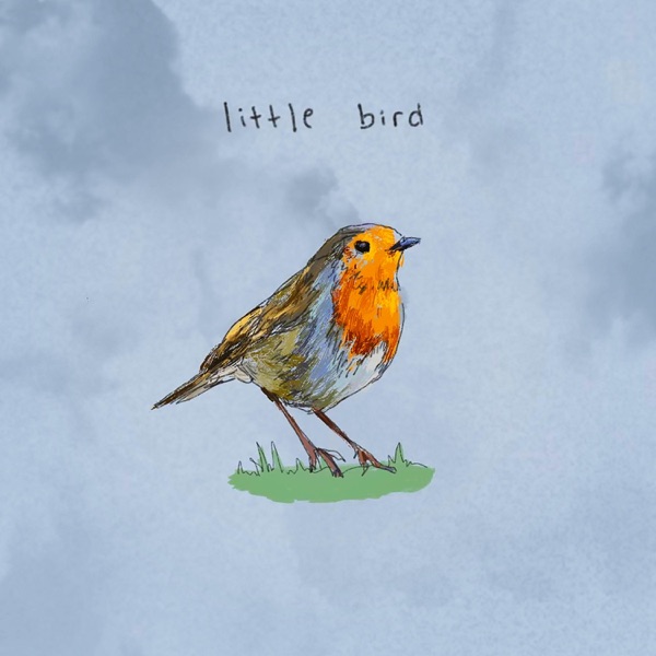 Little Bird - Single