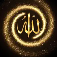 Allah (Hamd Praise of God) — Mustafa Zahid