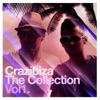 Crazibiza