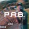 P.A.B. - Xico lyrics