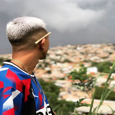 Mostra o Que Tu Sabe (feat. Mc Gabluca & Mc Igor Gv) - Single