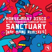 Sanctuary (Ray Mang Remixes) - EP artwork