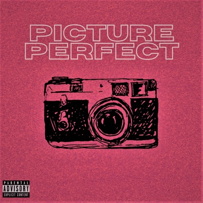 Picture Perfect - Single