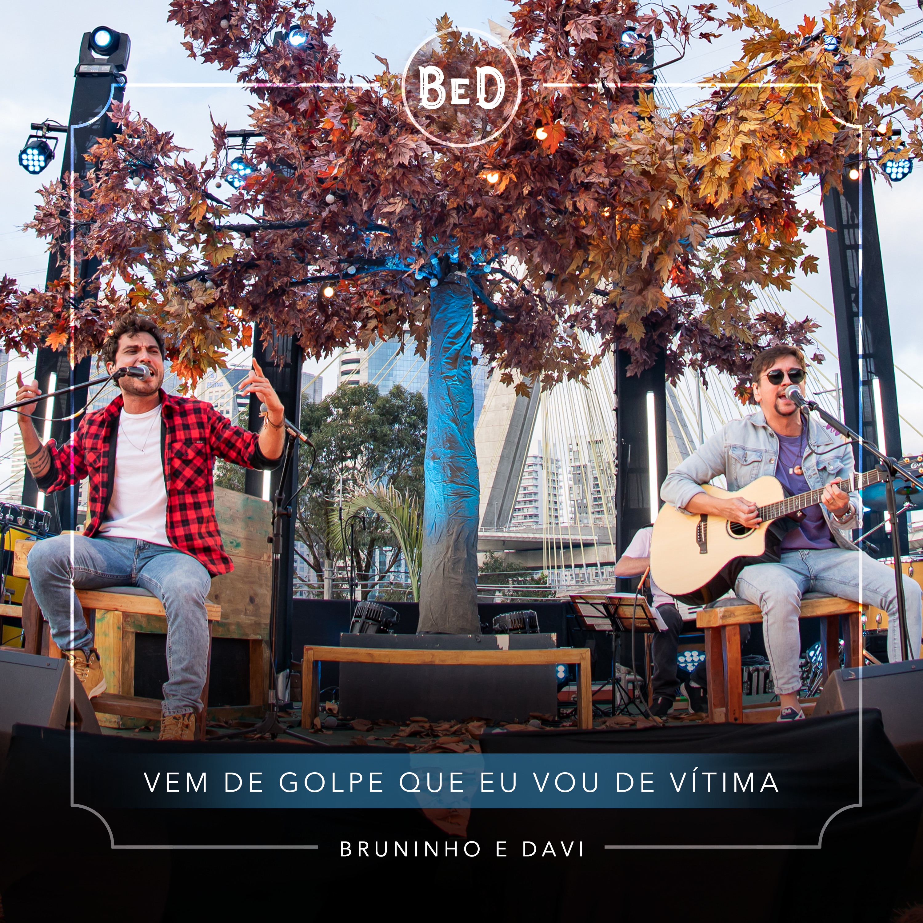 Vem De Golpe Que Eu Vou De Vítima - Single