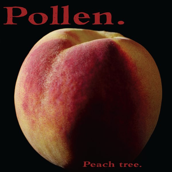 洋楽 Pollen. Peach tree. Peach Tree - Album by Pollen - Apple Music