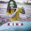 Lakhinandan Lahon & Instrumental - Krishna Krish Flute artwork