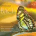 Bach Piano Transcriptions album cover