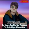 Da Yawe Peghle Wa Tasweer Ta Tola Shpa Zharedam - Single