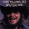 All My Rowdy Friends (Have Settled Down) - Hank Williams, Jr. lyrics