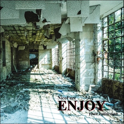 Enjoy - Single