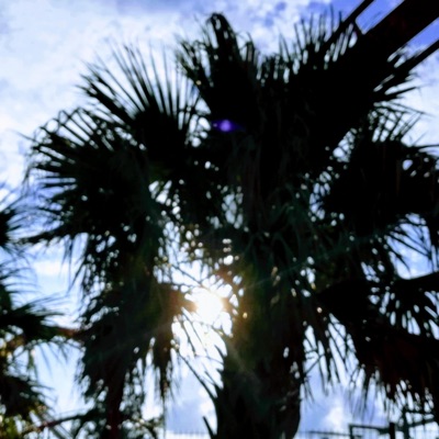 リアムMAZE1981 - Flyday Chinatown