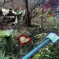 Hope // Introspection - Single - Fids